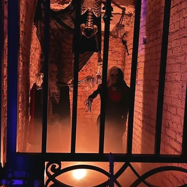 conway-halloween-skeleton-display